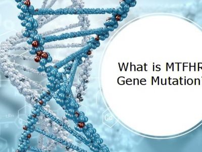 What is MTHFR Gene Mutation