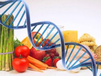 MTHFR, Nutrigenomics and Epigenetics