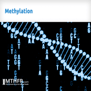 Methylation Banner