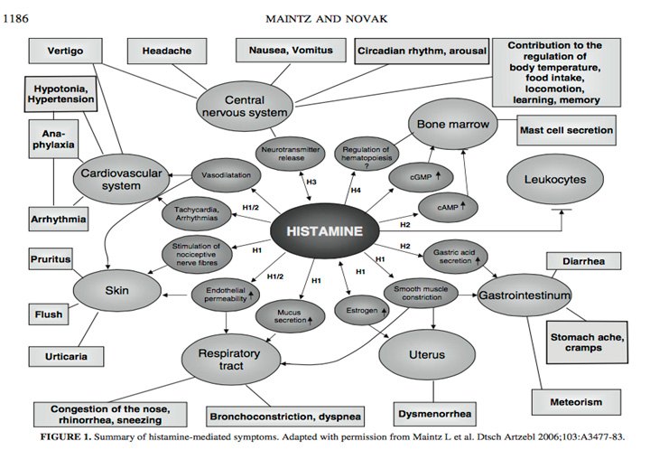 Summary Histamine-Mediated Symptoms