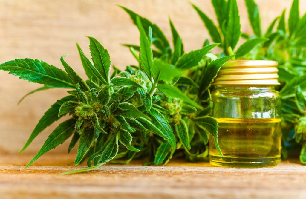 The Benefits of Using CBD Oil for Pain & Anxiety MTHFR