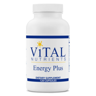 vn energy plus