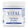 vn vital brain powder