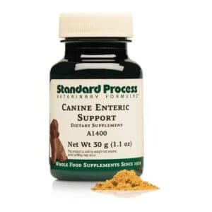 stp canine enteric support