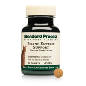 stp feline enteric support